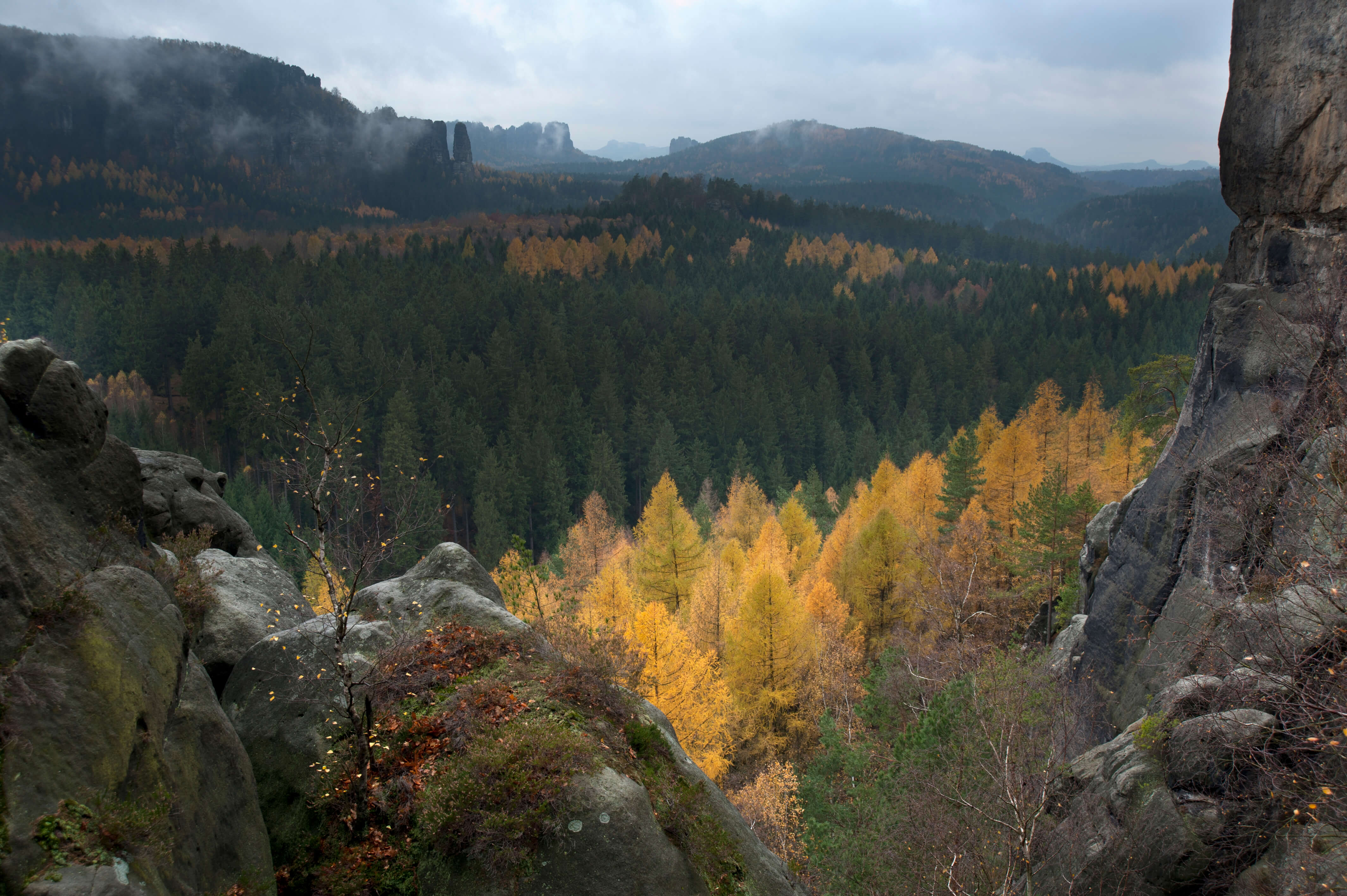 Am_Kuhstall_DSC4781_bea